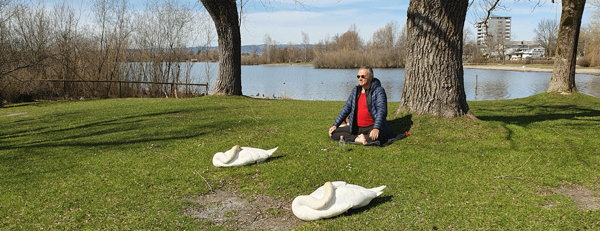 Yogakey die heiligen Öle Schwäne